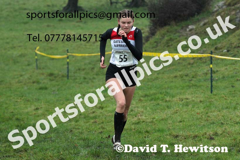 Girls under-15s, NECAA Junior Cross Country Relays, Thornley Farm, Peterlee, Saturday, December 12th. Photo: David T. Hewitson/Sports for All Pics